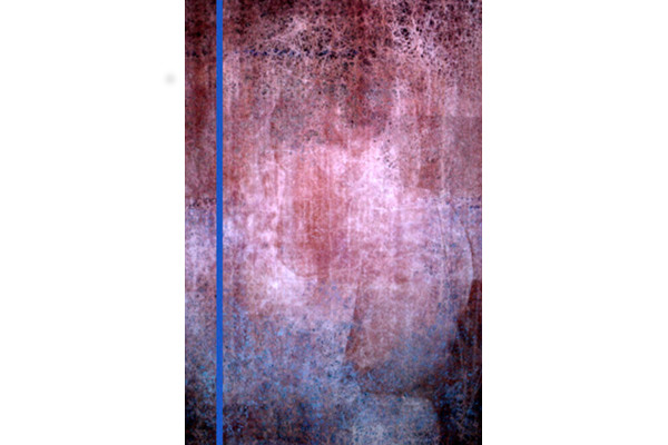 penelOpe pandemOnium” (2014) 112 x 168 cm, peinture assistée par ordinateur sur velours© Galerie Richard, New York/Paris