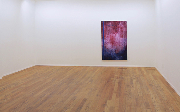 penelOpe pandemOnium” (2014) 112 x 168 cm, peinture assistée par ordinateur sur velours© Galerie Richard, New York/Paris